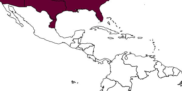 map of Ammophila cleopatra     Menke, 1964